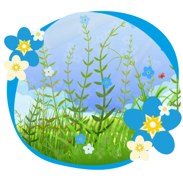 Forget-Me-Not Meadow