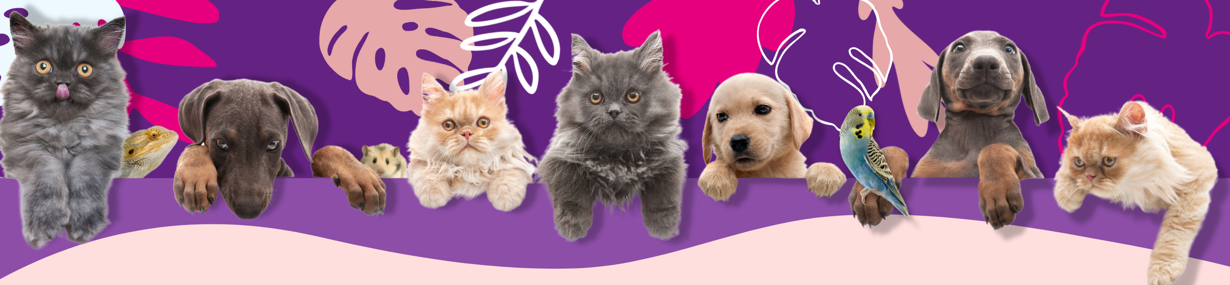 National Pet Day Banner