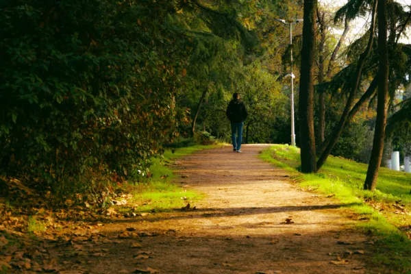 A person walking along a winding path through green trees.